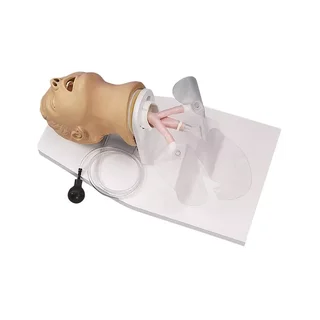 Intubációs modell felnőtt