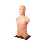 Korong törzs életnagyságban