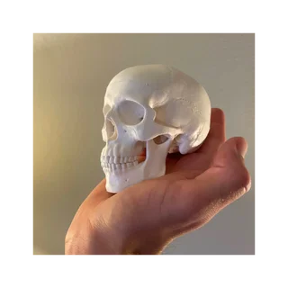 Mini koponya modell levehető tetővel, 3 részből áll