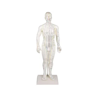 Kínai akupunktúrás figura, férfi