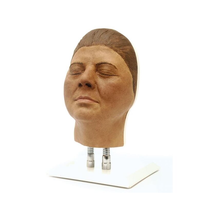 Fejmodell betanítása arcinjekciókhoz, F verzió